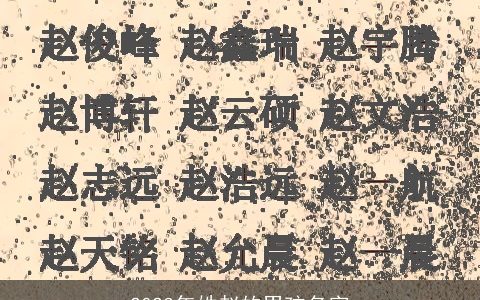 2024年姓赵的男孩名字