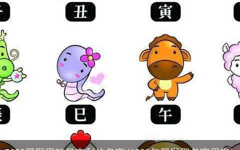 2024属猴男孩最吉利的名字(1980年属猴取名宜用字)