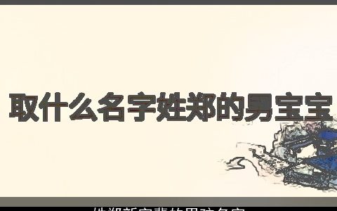 姓郑新字辈的男孩名字