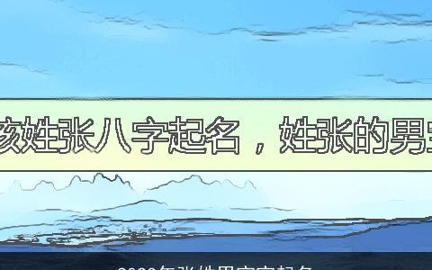 2023年张姓男宝宝起名