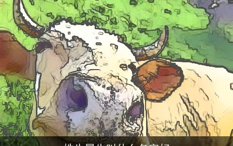 姓牛属龙叫什么名字好