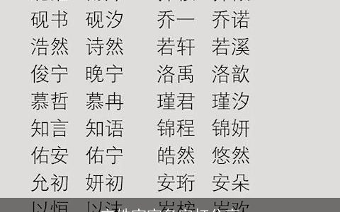 宋姓宝宝名字打分高