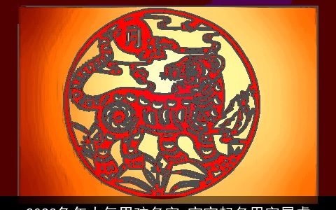 2023兔年大气男孩名字 宝宝起名用字属虎