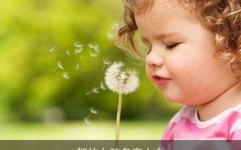 贺的女孩名字大全