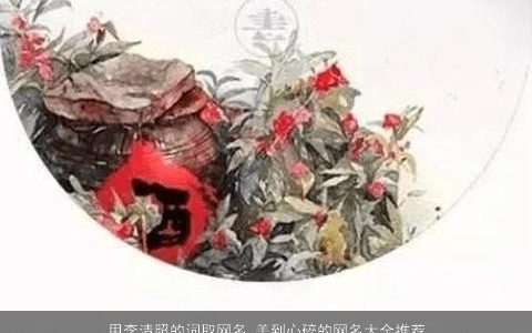 用李清照的词取网名 美到心碎的网名大全推荐 2023漂亮有涵养的网名网名名字大全筛选