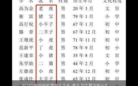 2024年最好听的男孩子乳名 兔年霸气男宝宝小名大全合集 好听霸气的男孩乳名虎男宝宝小名名字大全