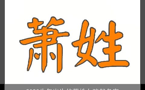 2024牛年出生的萧姓女孩起名字