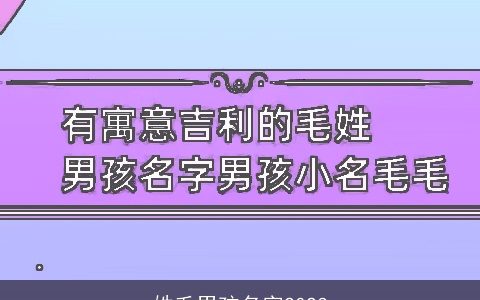 姓毛男孩名字2024