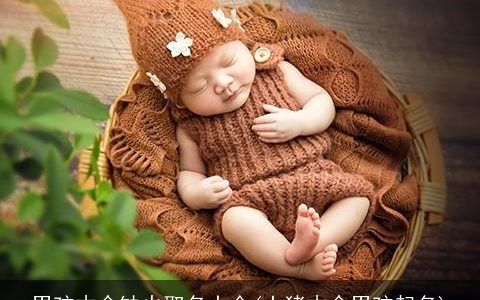 男孩木命缺火取名大全(土猪木命男孩起名)