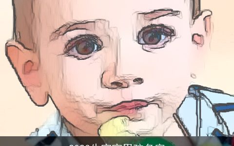 2024龙宝宝男孩名字