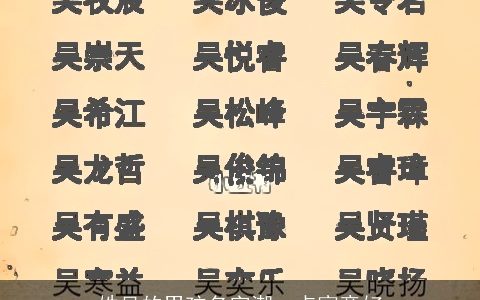 姓吴的男孩名字潮一点寓意好