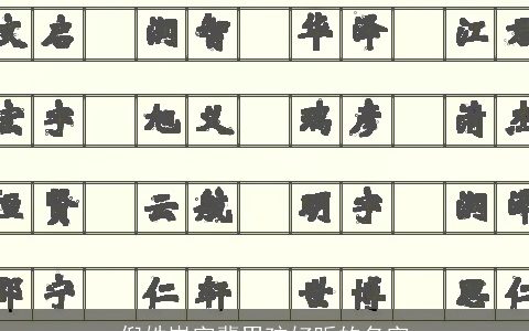 倪姓岚字辈男孩好听的名字