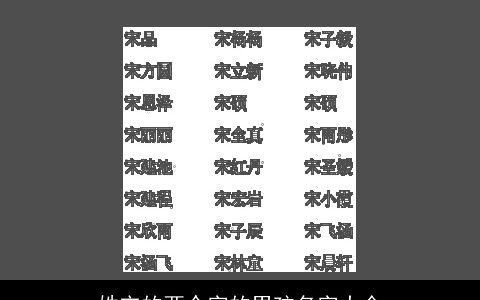 姓宋的两个字的男孩名字大全