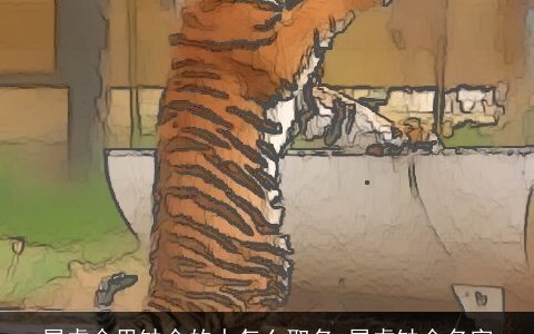 属龙命里缺金的人怎么取名 属龙缺金名字