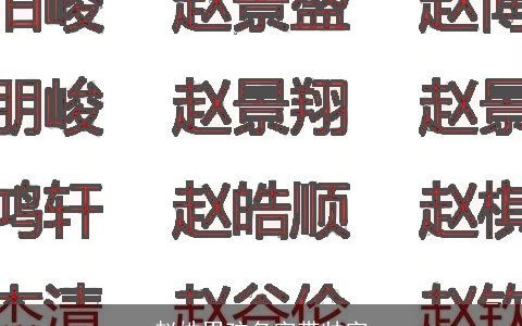 赵姓男孩名字带帅字