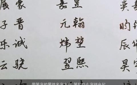 带策字的男孩名字大全 策和什么字组合起名好 2023洋气好听的带策字男孩名字
