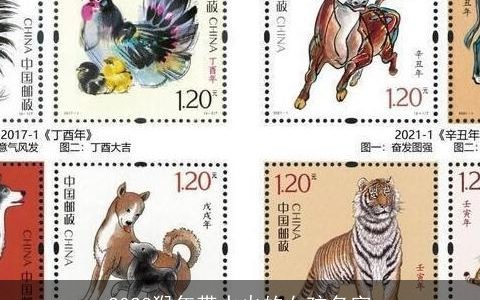 2023猴年带水火的女孩名字