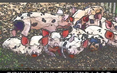 养猪的叫什么名字好 养殖公司起名大全免费