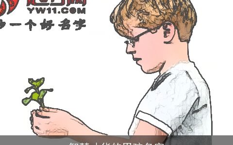 智慧才华的男孩名字