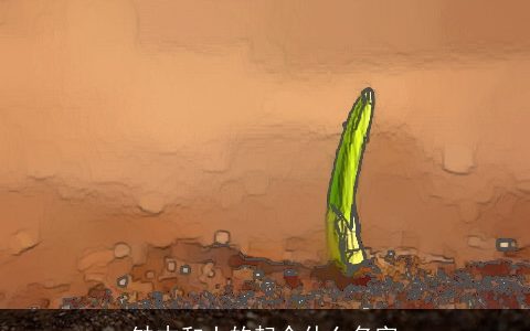 缺木和土的起个什么名字