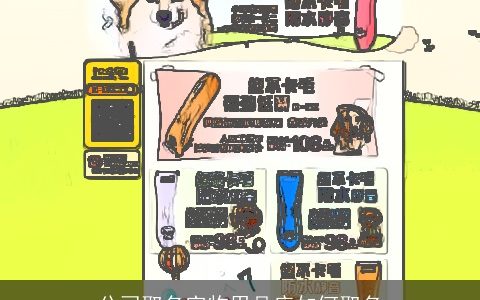 公司取名宠物用品店如何取名