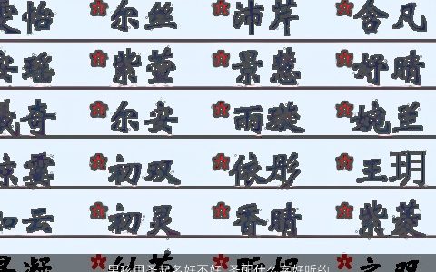 男孩用圣起名好不好 圣配什么字好听的名字男孩 圣字取名的寓意男孩 2023