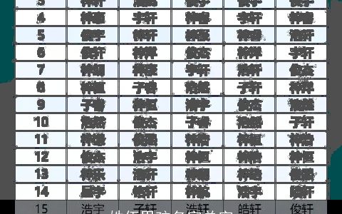 姓伍男孩名字单字