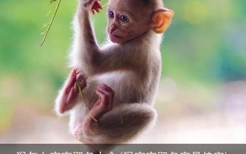 猴年女宝宝取名大全(猴宝宝取名字最佳字)