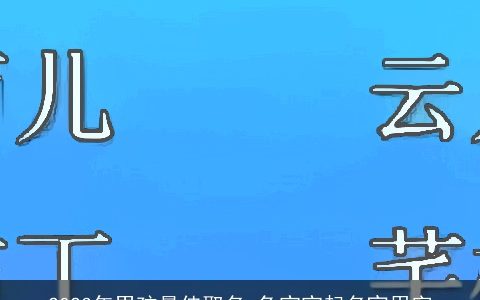 2023年男孩最佳取名 兔宝宝起名宜用字