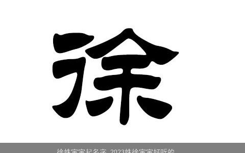 徐姓宝宝起名字 2024姓徐宝宝好听的名字大全 有涵养好听的徐姓宝宝名字大全