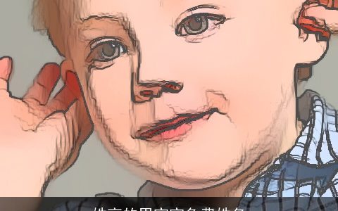 姓高的男宝宝免费姓名