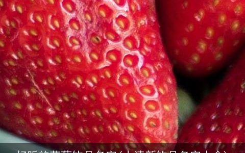 好听的草莓饮品名字(小清新饮品名字大全)