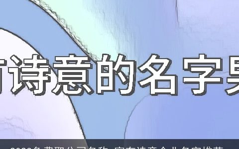 2024免费取公司名称 富有诗意企业名字推荐_