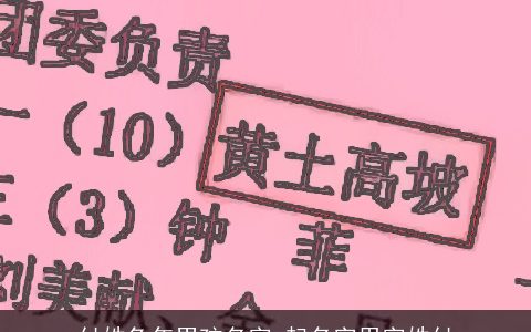付姓兔年男孩名字 起名字用字姓付