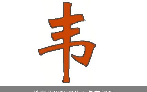 姓韦的男孩取什么名字好听