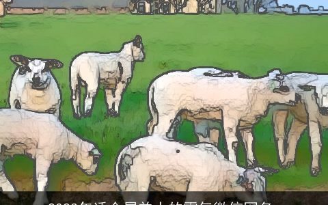 2023年适合属羊人的霸气微信网名_