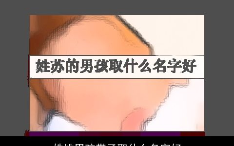 姓姚男孩带子取什么名字好