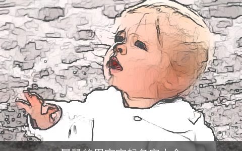 属鼠的男宝宝起名字大全