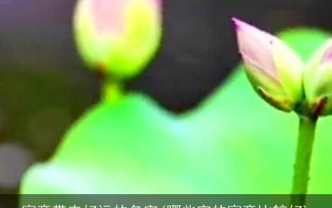 寓意带来好运的名字(哪些字的寓意比较好)