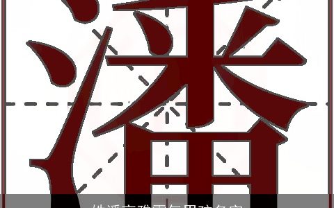 姓潘高雅霸气男孩名字