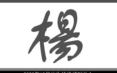 2023年10月出生的姓杨叫什么