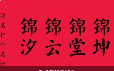 陈姓带锦字取名