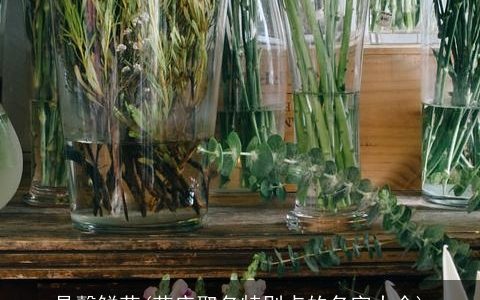 晶馨鲜花(花店取名特别点的名字大全)