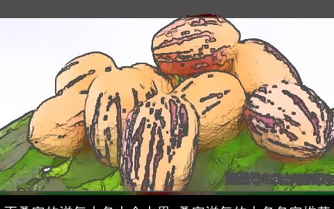 不叠字的洋气小名大全水果 叠字洋气的小名名字推荐