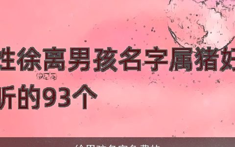 徐男孩名字免费的