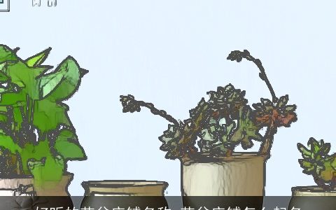 好听的花盆店铺名称 花盆店铺怎么起名