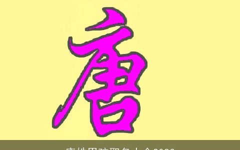 唐姓男孩取名大全2023