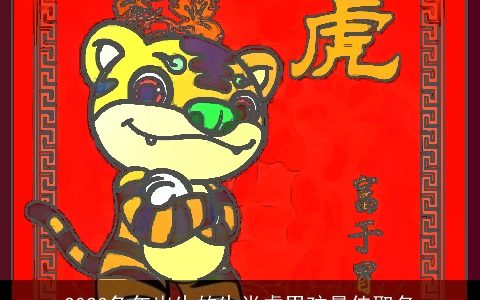 2023兔年出生的生肖虎男孩最佳取名