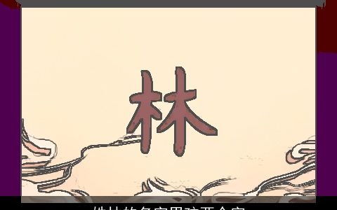 姓林的名字男孩两个字