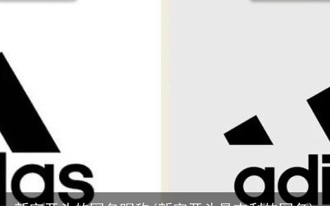 新字开头的网名昵称(新字开头最吉利的网名)